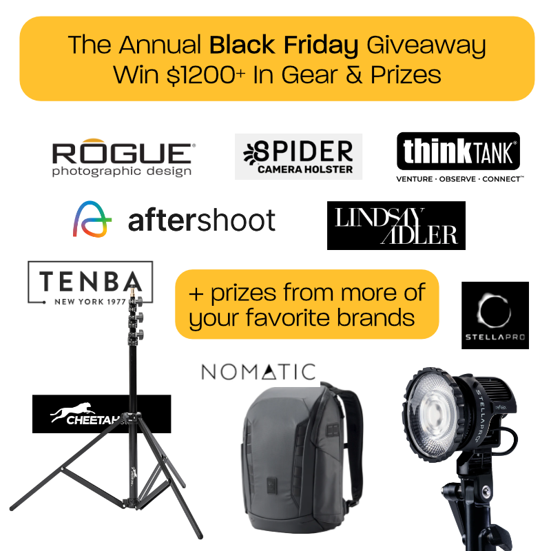 Annual Black Friday Giveaway!